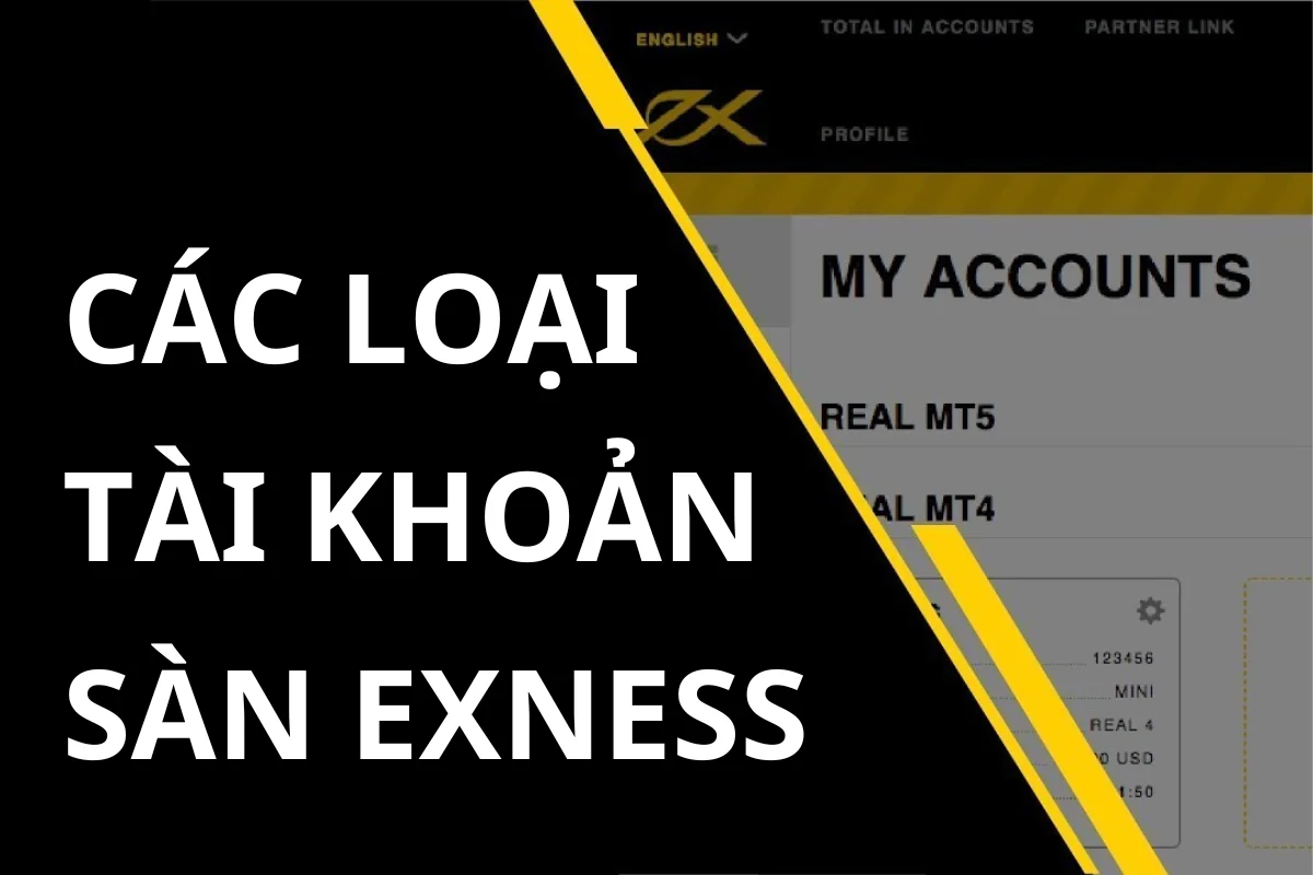 So sánh các loại tài khoản Exness - Nên chọn tài khoản nào?