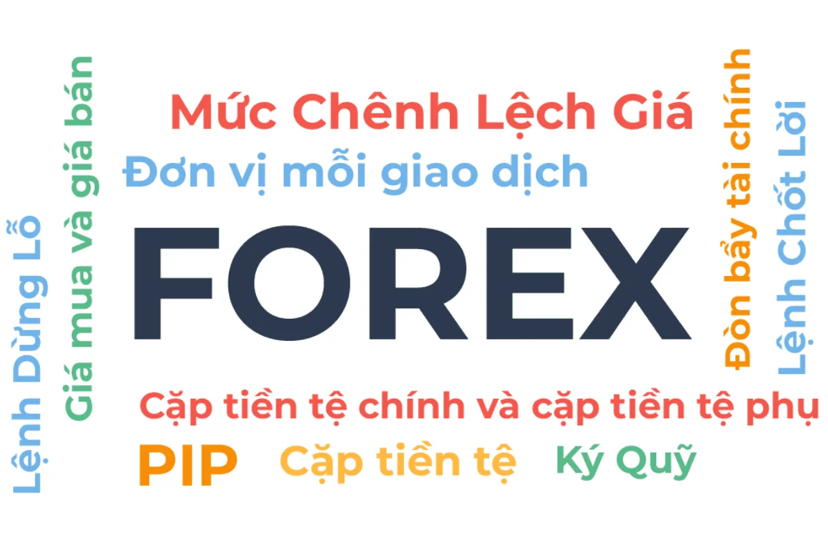 các thuật ngữ trong forex-1