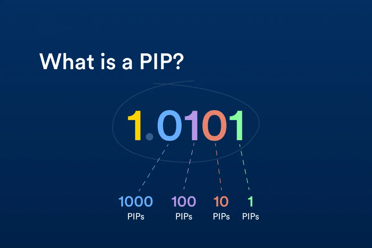 cách tính pip và lot trong forex-1