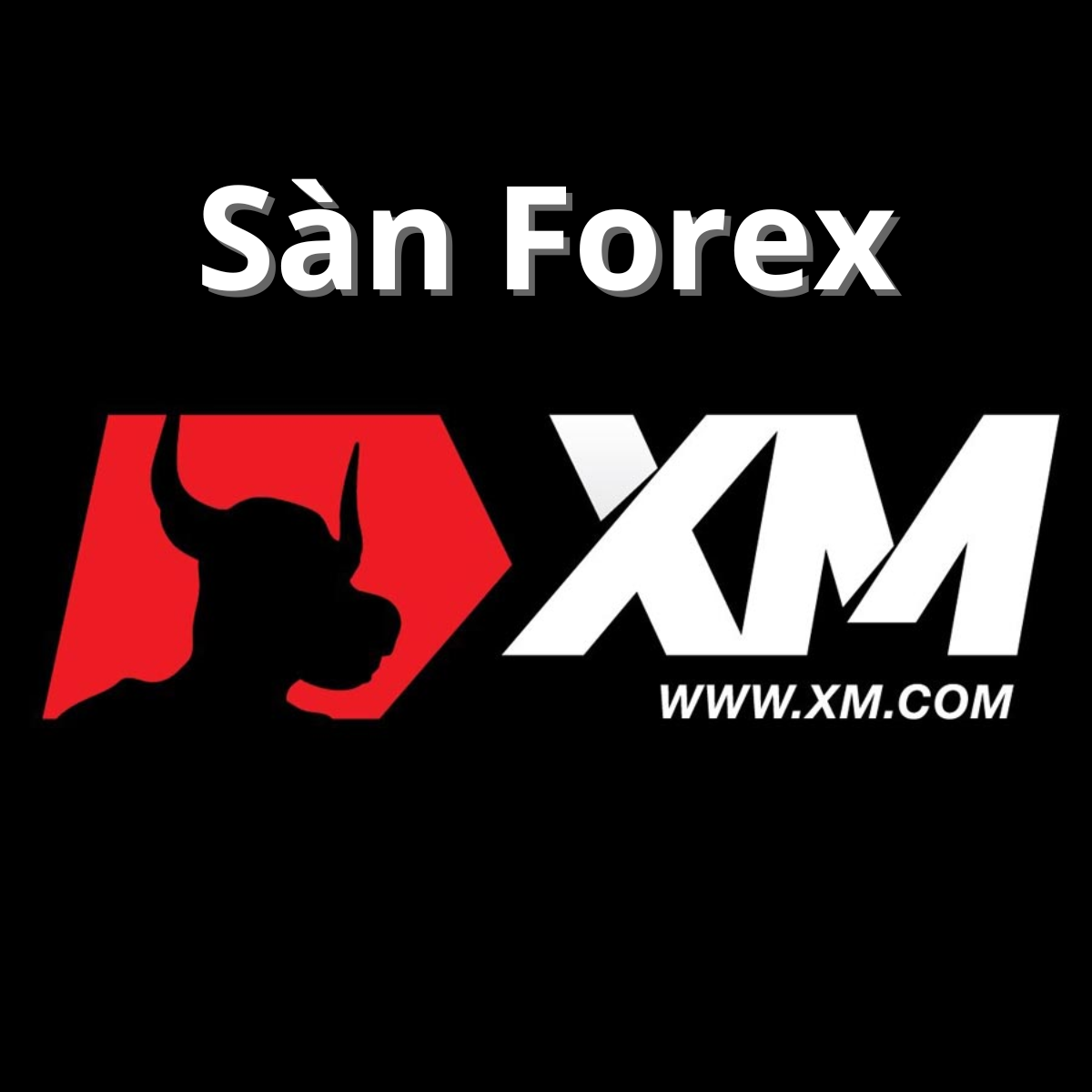 sàn forex xm