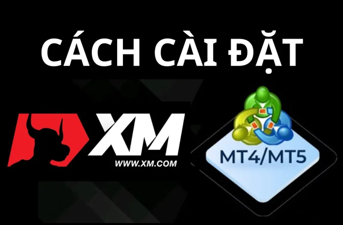 Cách cài đặt MT4/MT5 XM cho điện thoại và PC đơn giản