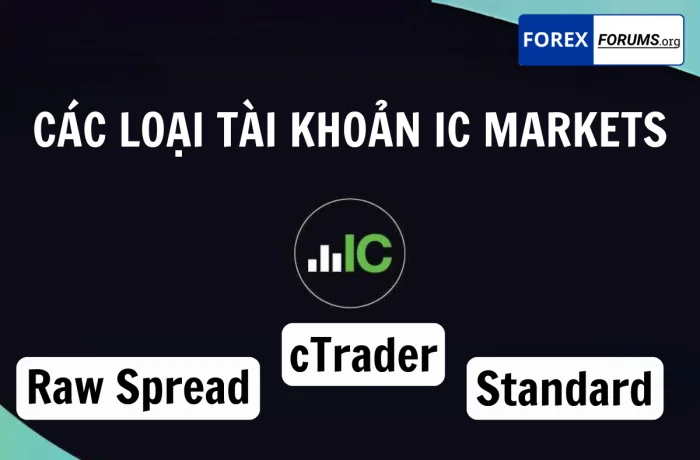 Các loại tài khoản ICMarkets: So sánh True ECN và Standard