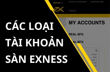 So sánh các loại tài khoản Exness - Nên chọn tài khoản nào?