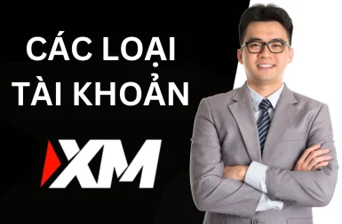 So sánh các loại tài khoản XM - Nên chọn tài khoản nào?