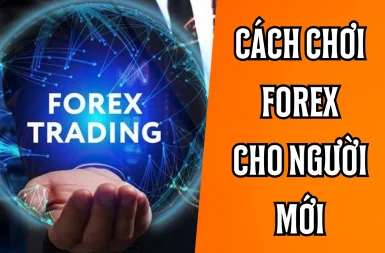 Hướng dẫn cách chơi Forex cho người mới bắt đầu