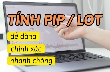 Cách tính Pip và Lot trong Forex | Công thức đơn giản