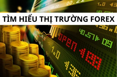 Tìm hiểu thị trường Forex: Các xu hướng và dự đoán mới nhất