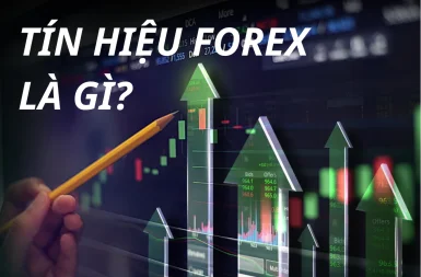 Nắm Bắt Tín Hiệu Forex: Bí Quyết Để Giao Dịch Thành Công