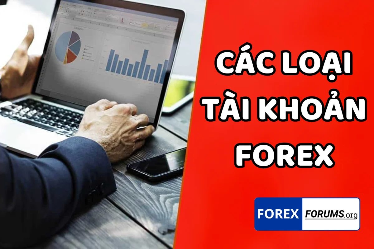 Hướng dẫn lựa chọn các loại tài khoản Forex phù hợp cho Trader