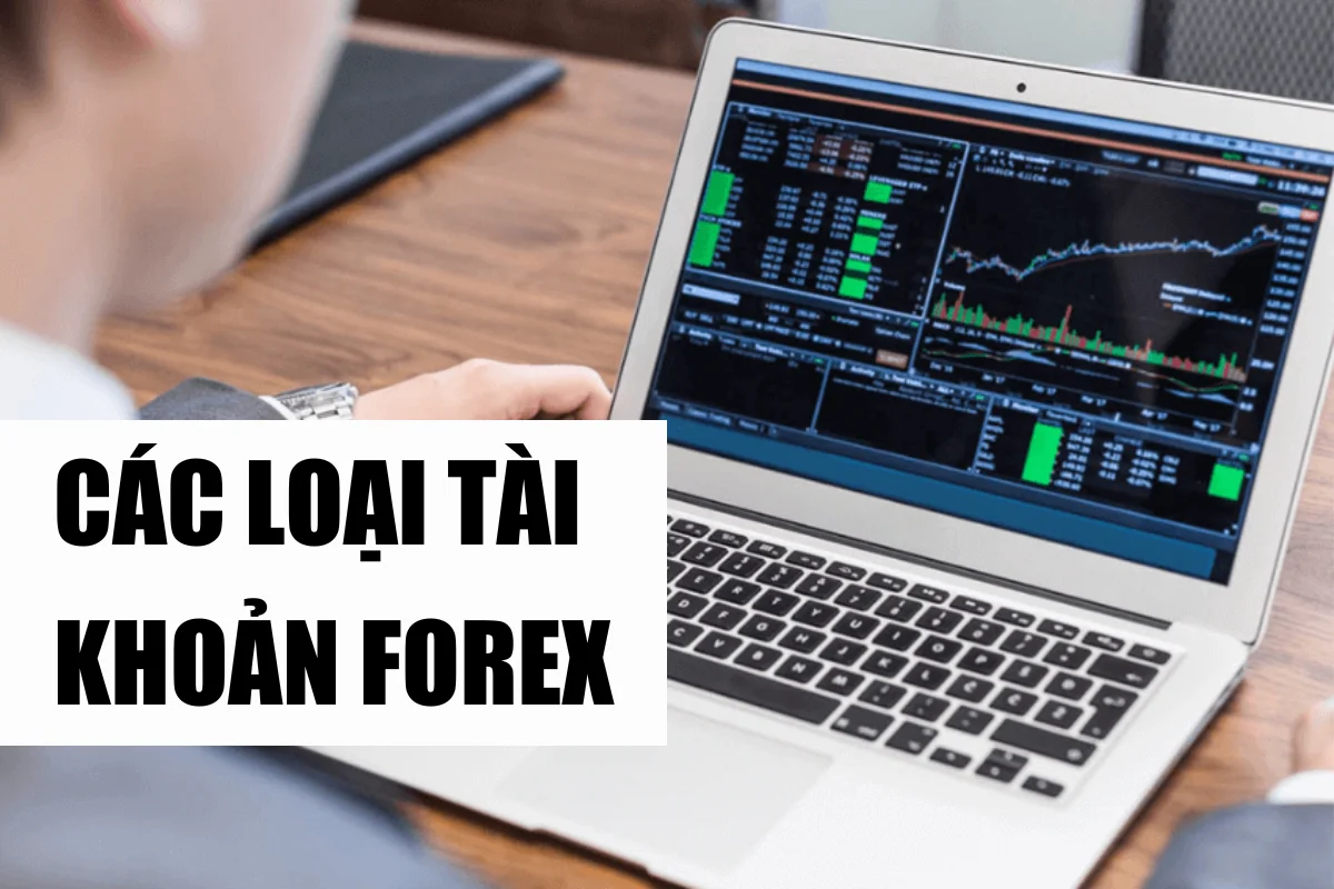 các loại tài khoản forex (2)