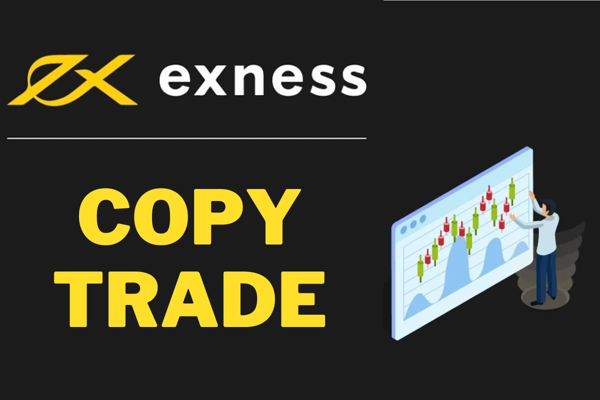 copy trade exness (2)