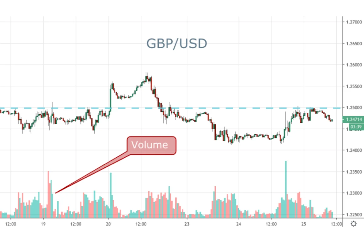 phần mềm tính khối lượng giao dịch forex