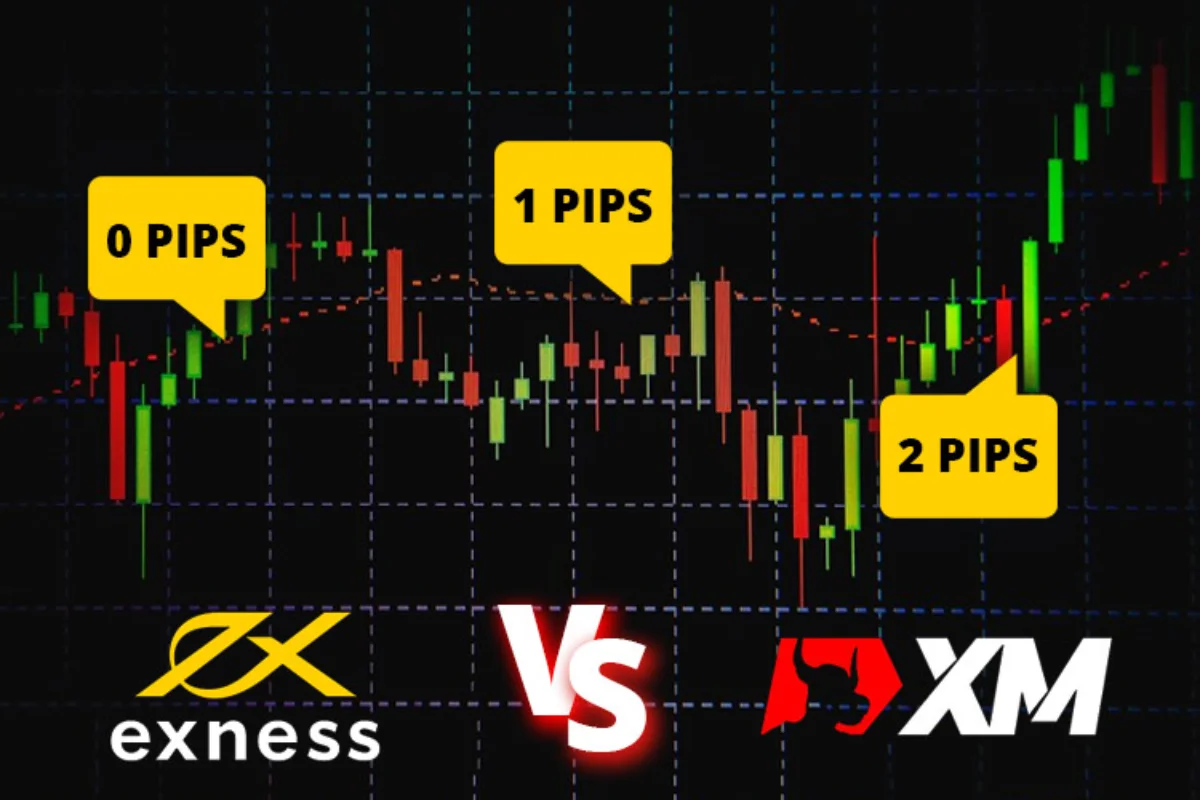 XM hay Exness: Nền tảng nào phù hợp với bạn?